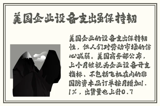 老阿姨哔哩哔哩B站肉片茄子芒果